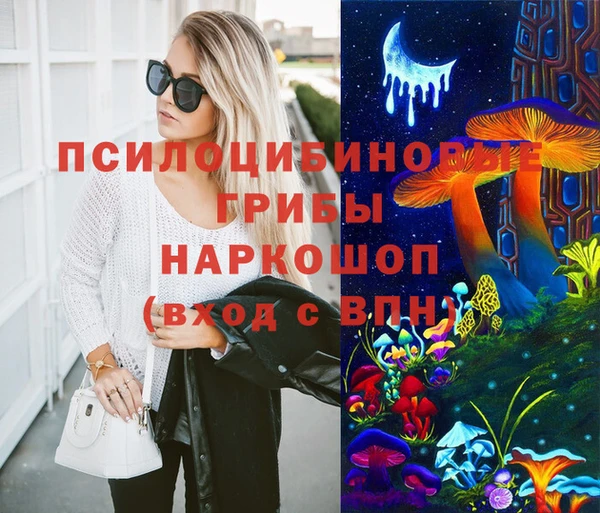 дмт Алексин