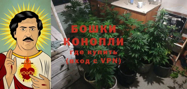 дмт Алексин