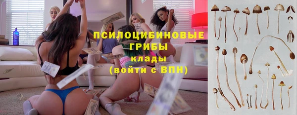 дмт Алексеевка